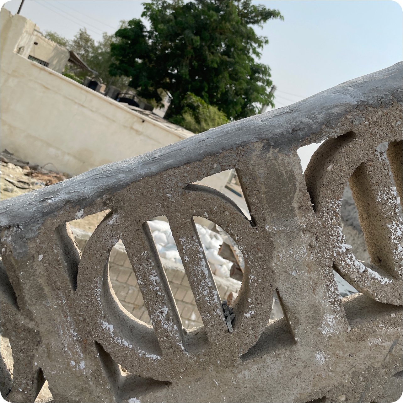 Frame 2610366
